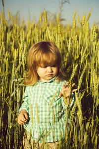 在绿色的原野的小穗草的小男孩