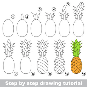 绘图的教程。成熟的菠萝