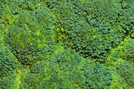 绿色菌菇背景图片