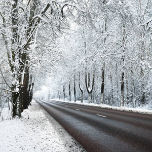 巷子里的雪覆盖树木和道路在 11 月。在拉脱维亚首都里加的冬季仙境