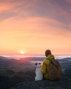 悬崖孤独的游客坐在悬崖边上的狗, 在一个令人难以置信的山景观的背景
