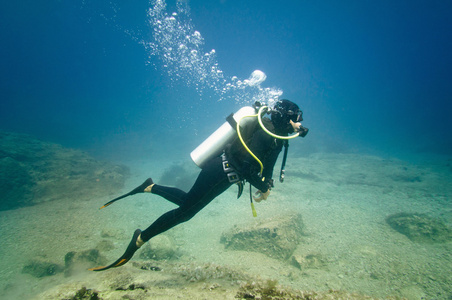 水肺潜水员探索海洋生物图片