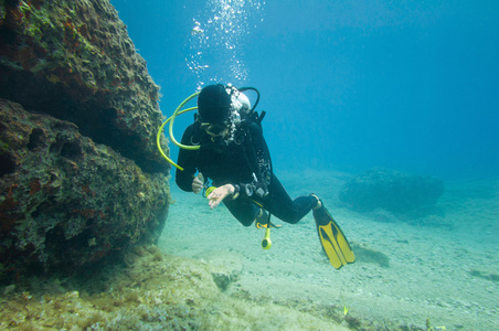 水肺潜水员探索海洋生物图片