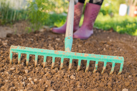 难免在花园里工作的女农夫, 有耙平地面.种植用地的准备.