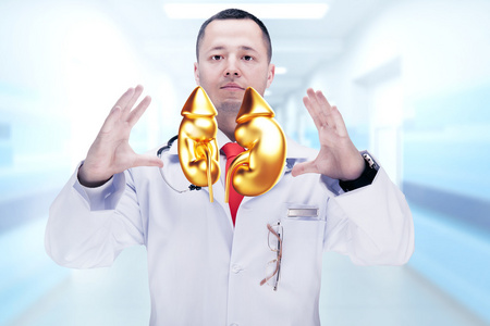 医生用听诊器和金色肾脏在HOS中的手上