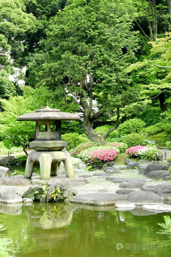 日本室外的石灯笼 禅宗花园里的花植物照片 正版商用图片0rxegh 摄图新视界