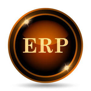 Erp 图标。白色背景上的互联网按钮