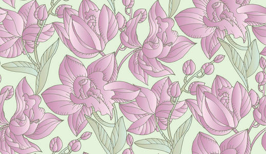 嫩粉彩色兰花花无缝图案照片