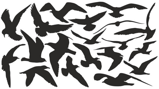 海鸥的剪影图片-海鸥的剪影素材-海鸥的剪影插画-摄图新视界