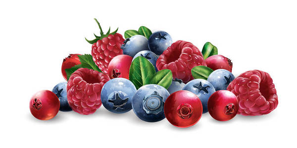 覆盆子, 蔓越莓, 蓝莓和草莓