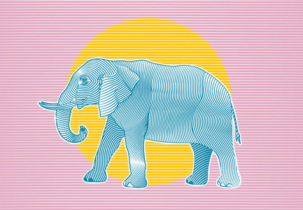 大象彩色插图图片