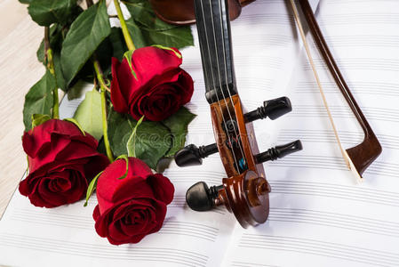 小提琴玫瑰和音乐书