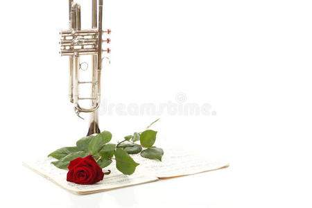 红玫瑰与旧音符乐谱小号