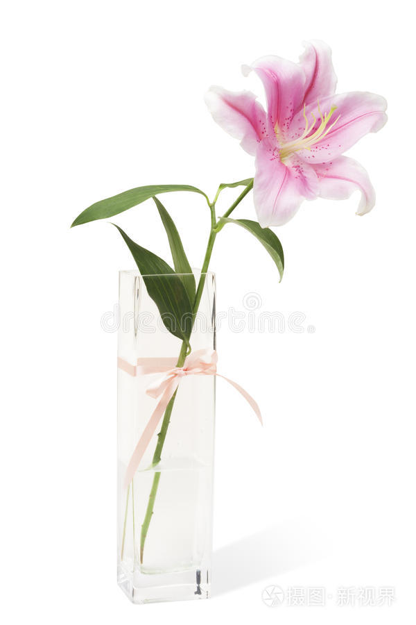 花瓶里的百合花照片 正版商用图片0rxzn1 摄图新视界 花瓶里的百合花照片 正版商用图片0rxzn1 摄图新视界
