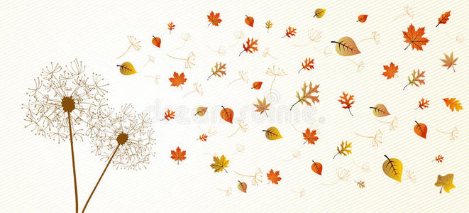 秋天蒲公英树叶子组成背面图片