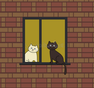 窗户上的两只猫