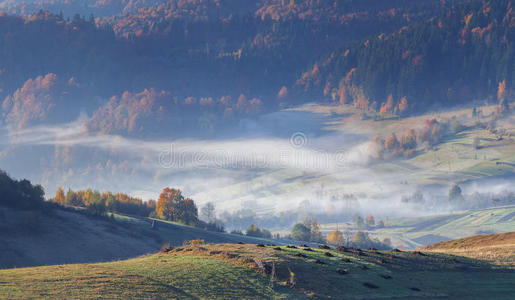 秋山全景。