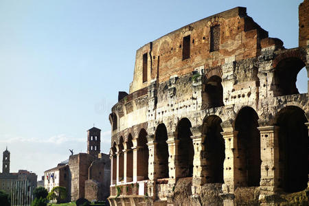 市中心 弗拉维安 废墟 罗马 论坛 意大利 地标 帝国 文化