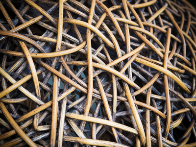 木藤条图案为背景插画