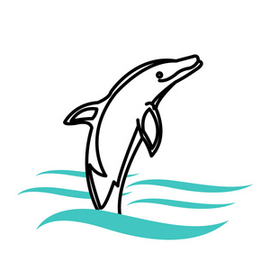 白海豚图片-白海豚素材-白海豚插画-摄图新视界