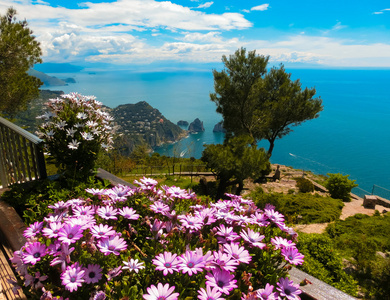 查看从悬崖上的卡普里岛，意大利和在大海中的岩石