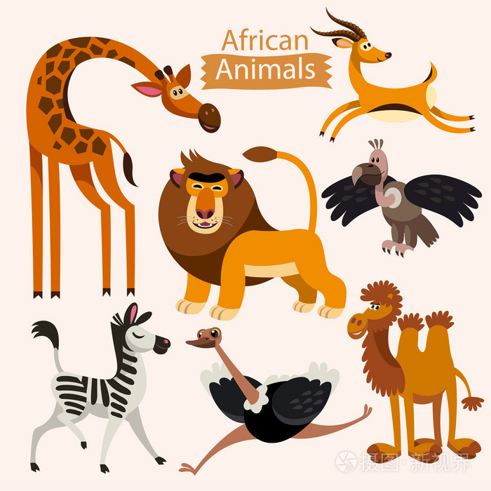 向量组的卡通非洲动物白色背景上