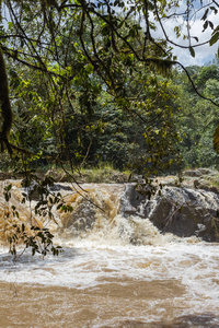 Kakamega 森林丛林中河流上的小急流。肯尼亚非洲