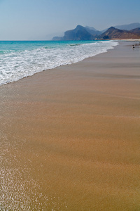 在阿曼塞拉莱充分的山和海海鸥的海岸线