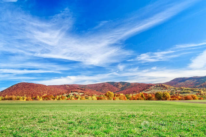 在特兰西瓦尼亚的秋天森林风景, 罗马尼亚, 欧洲