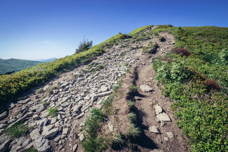 Hking Halicz 在 Bieszczady 国家公园波兰 Subcarpathian 省的路