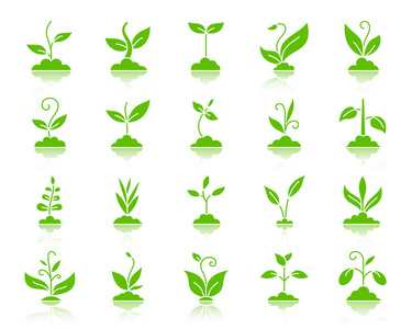 模板设计元素的商业, 生动的广告有关花卉交付园艺, 花店广告牌农场和