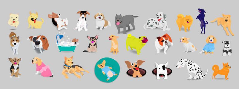 一套狗, 猎犬, 杰克罗素梗, pitbill, 斗牛犬, 泰国 bangkaew, 达尔马提亚, 可爱和友好的动物在灰色背景