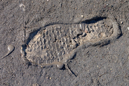 泥浆中的鞋子痕迹