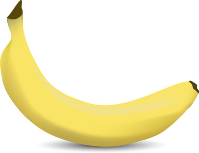 向量的黄香蕉