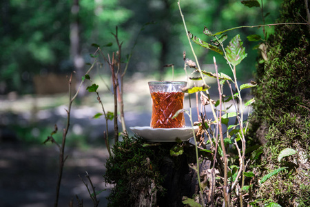 在森林里的玻璃杯里的东方红茶.东方茶的概念.armudu 传统杯.