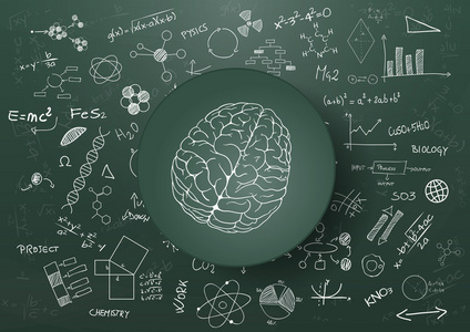 脑科学图片