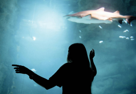 女人看着水族馆的水下世界