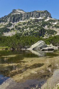 景观的 Dzhangal 峰值和 Banski 湖，皮林山