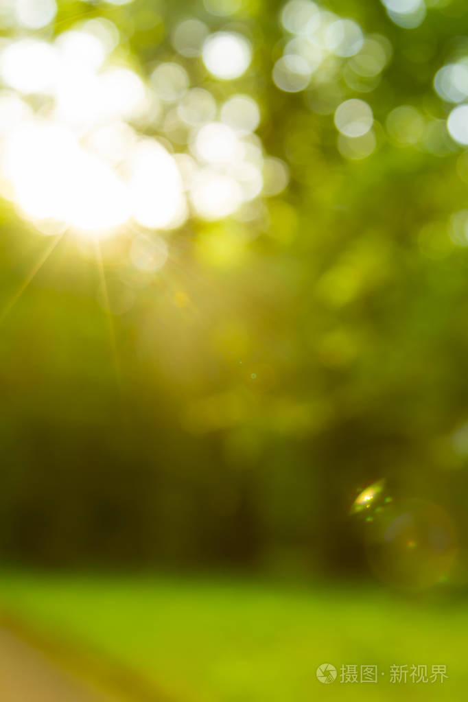 阳光在树林里散景.森林模糊背景下的日出日落