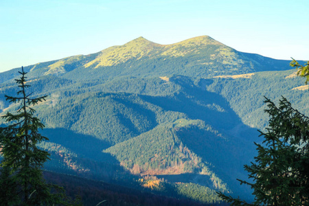 秋天的山。乌克兰的喀尔巴阡山山脉。绿松树