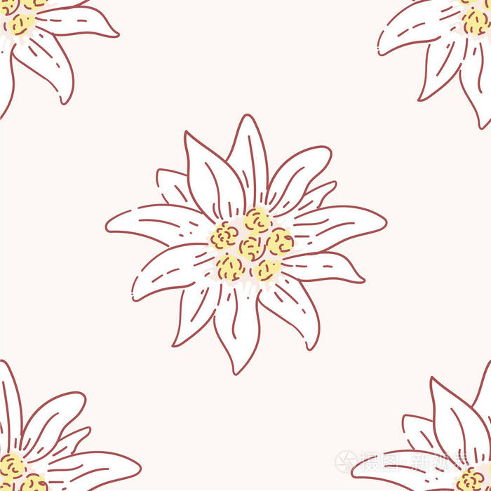 雪绒花花无缝图案, 瓷砖标志 alpinism 阿尔卑斯德国标志插画-正版