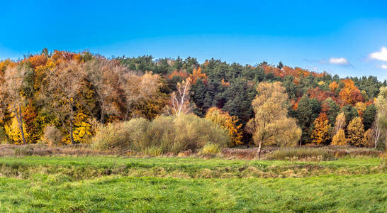 秋季森林景观, 五颜六色的树木和蓝天的全景远景照片