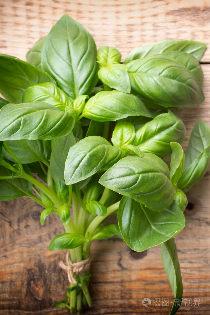 罗勒在蔬菜