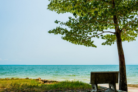 孤独的椅子上，树在海滩