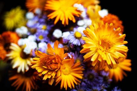 明亮的橙色和丁香花的花束对黑暗的背景