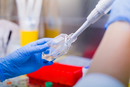 实验室培养细胞培养的科学家照片