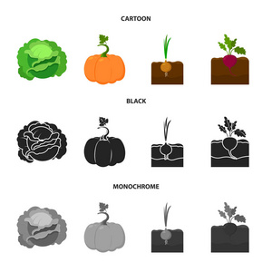 卷心菜, 南瓜, 洋葱, buriak。植物集合图标在卡通, 黑色, 单色风格矢量符号股票插画网站