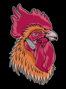 鸡头特写镜头公鸡头黑公鸡头特写愤怒的公鸡头愤怒的公鸡头与黑暗的