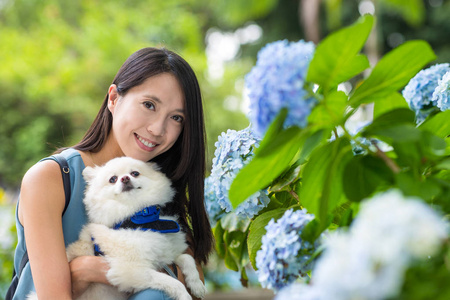 女人抱着波美拉尼亚狗在绣球花花园里