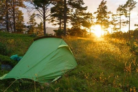 在日落或日出时在森林里露营。明亮的阳光